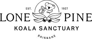 Bond Cleaning in Brisbane | End of lease cleaning